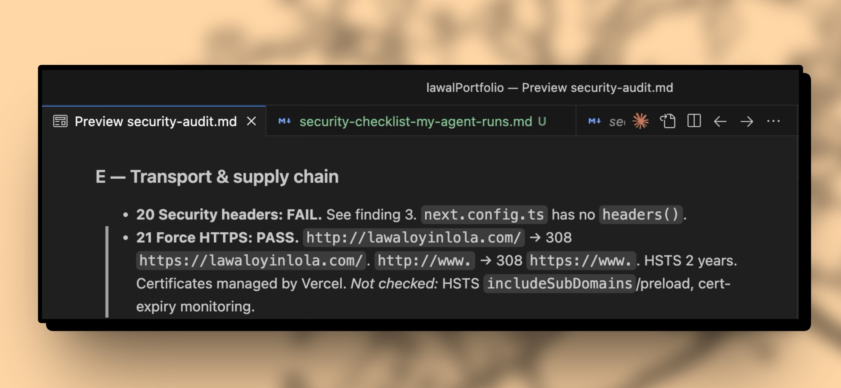 An excerpt from the audit file: control 20, security headers, marked FAIL; control 21, force HTTPS, marked PASS, with a note listing what was not checked.